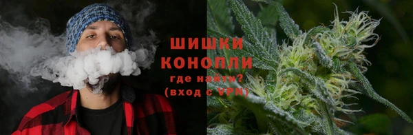 шишки Бронницы