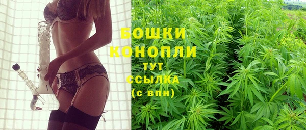 шишки Бронницы