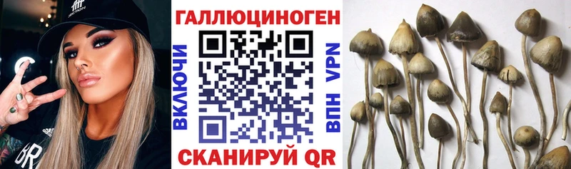 Галлюциногенные грибы MAGIC MUSHROOMS  Надым 